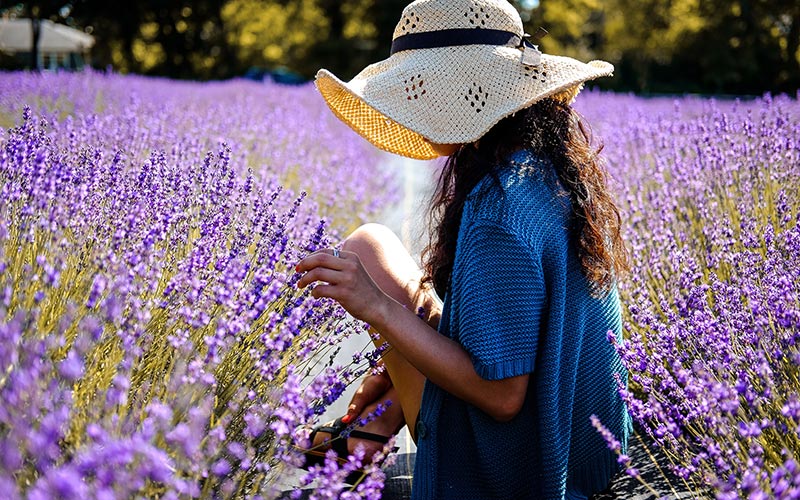 Mujer oliendo lavanda