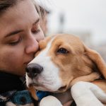 Los mejores hoteles con spa que admiten mascotas